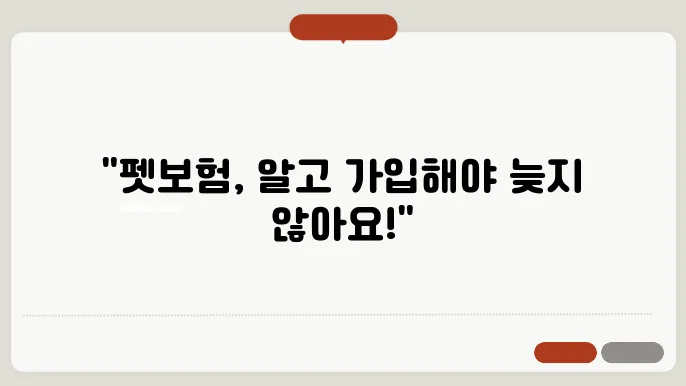 펫보험 가입 후 유의해야 할 점