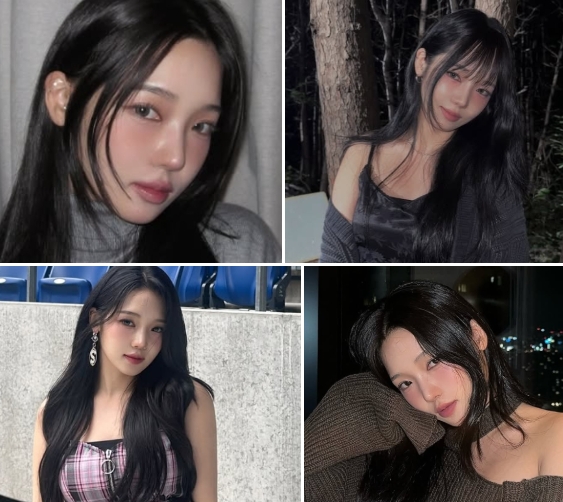 노지선