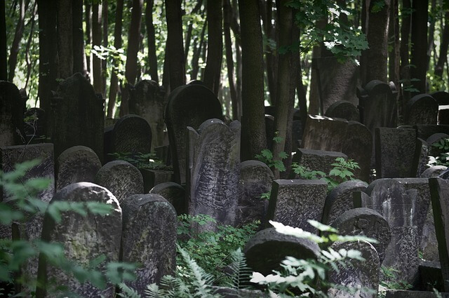 사망 후 해야 할 일: 신고&amp;#44; 계좌 해지&amp;#44; 상속 정리법