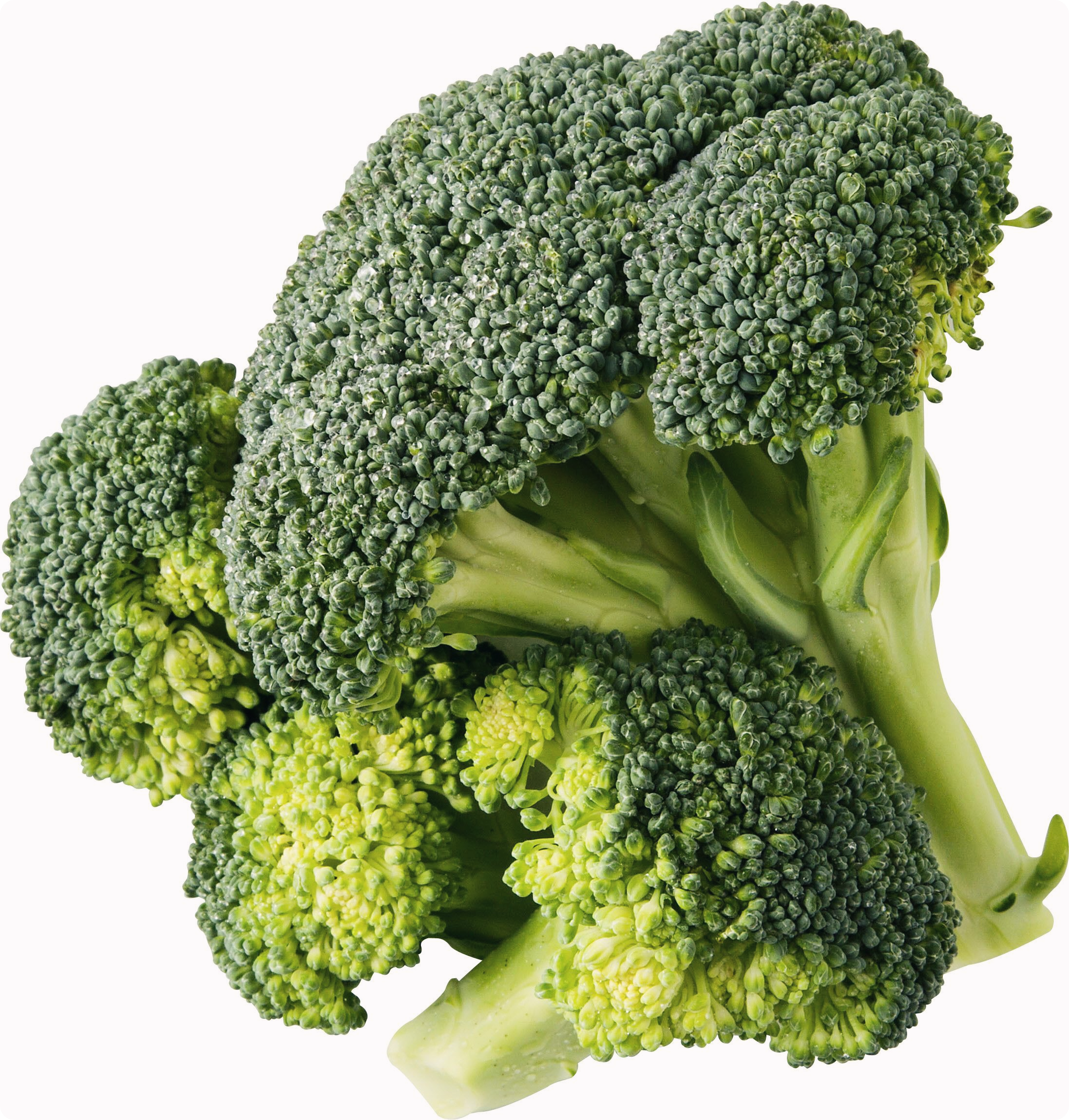 골다공증에-좋은-음식