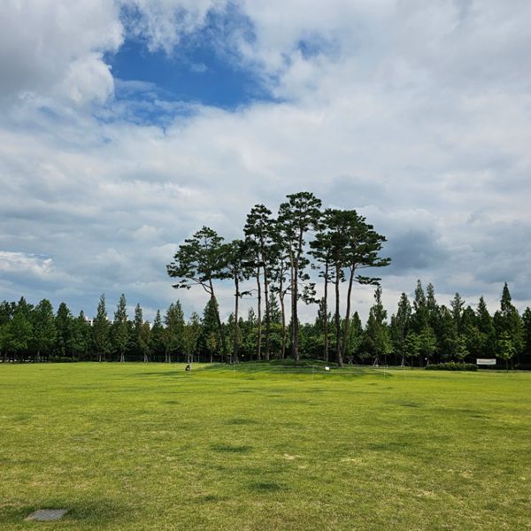 수성패밀리파크