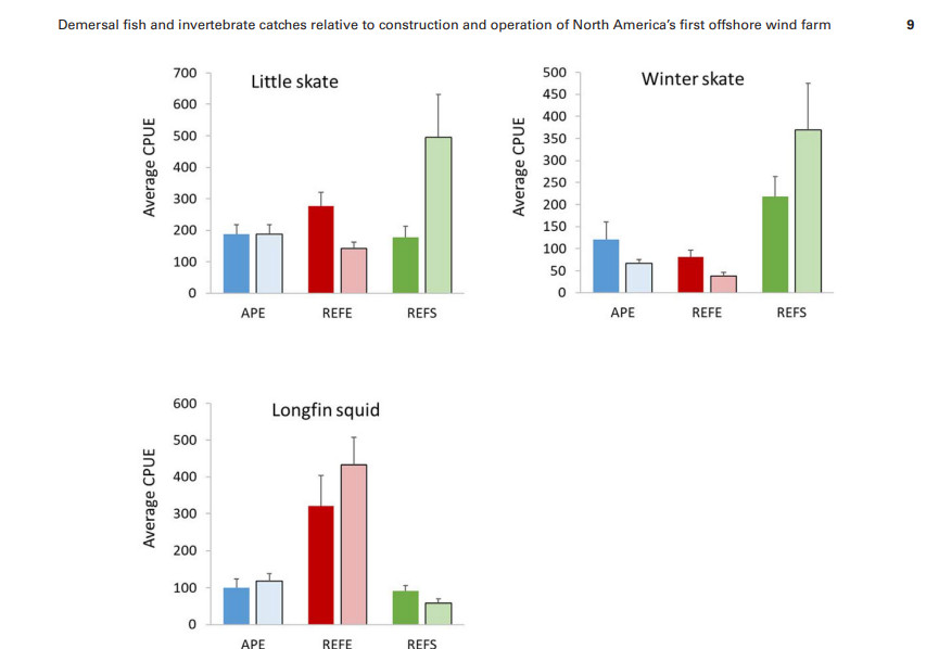 Average CPUE with standard error of little skate&#44; winter skate&#44; and longfin squid in each survey area for the baseline (April 2013 through
September 2013; April 2014 through September 2014) and construction phase II (April 2016 through September 2016) time periods (shaded dark and
light&#44; respectively).