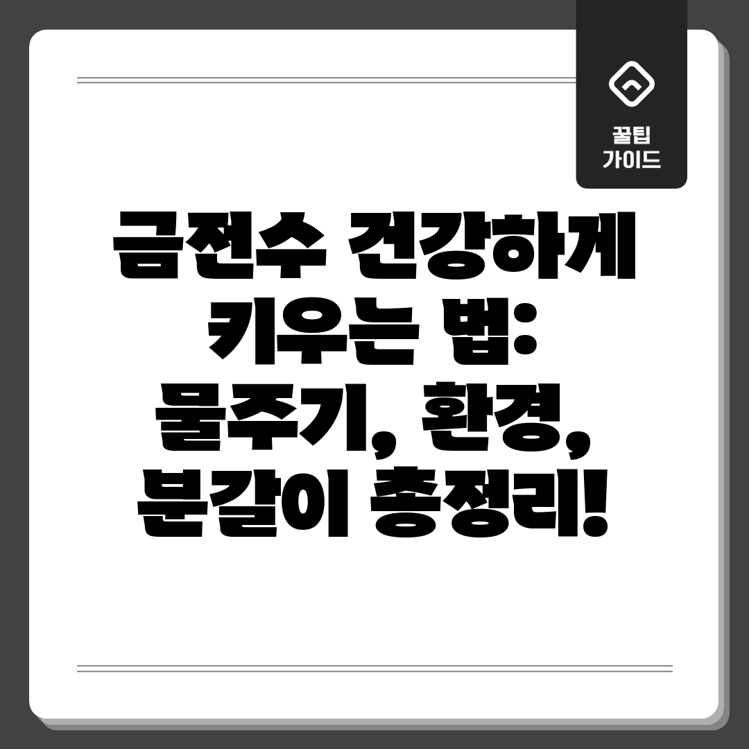 금전수 건강하게 키우는 법 물주기, 환경, 분갈이 총정