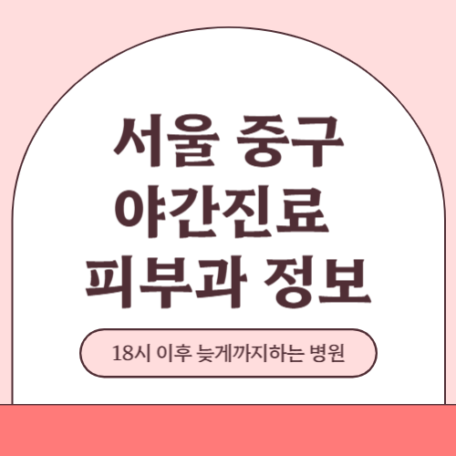 서울 중구 야간진료 피부과 병원 (18시 이후 늦게까지하는 병원)