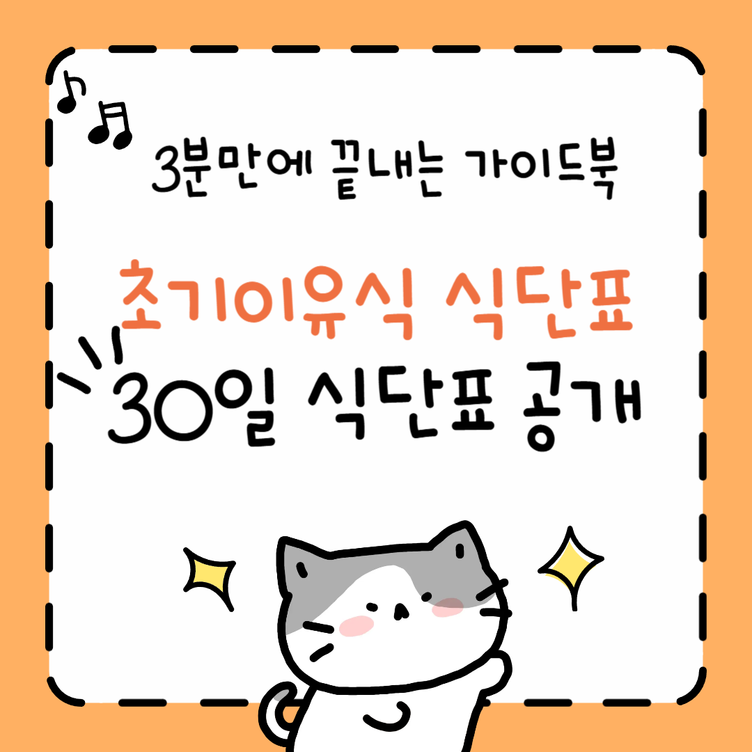 ‘초기이유식 식단표’ 검색 이제 그만! 3분 만에 끝내는 실전 가이드북 + 30일 식단표 공개