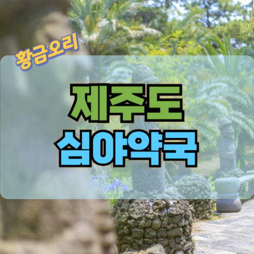 제주도 심야약국에 대한 정보