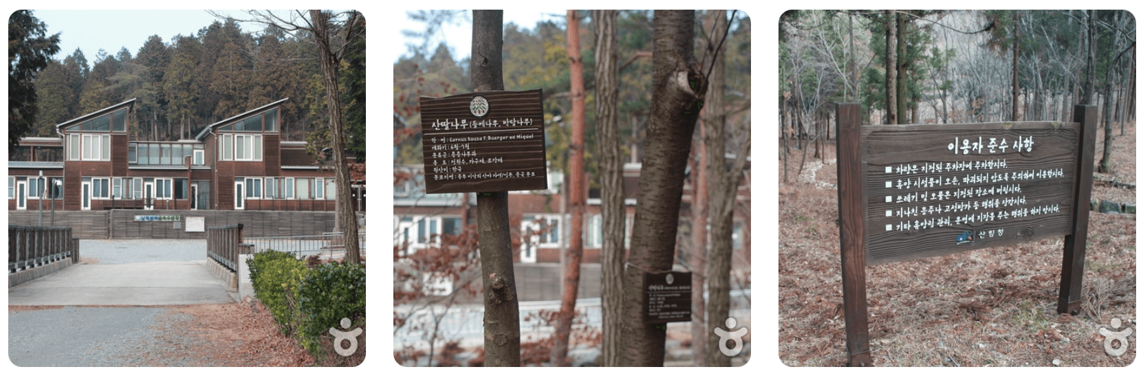 남해-국립-남해편백-자연휴양림