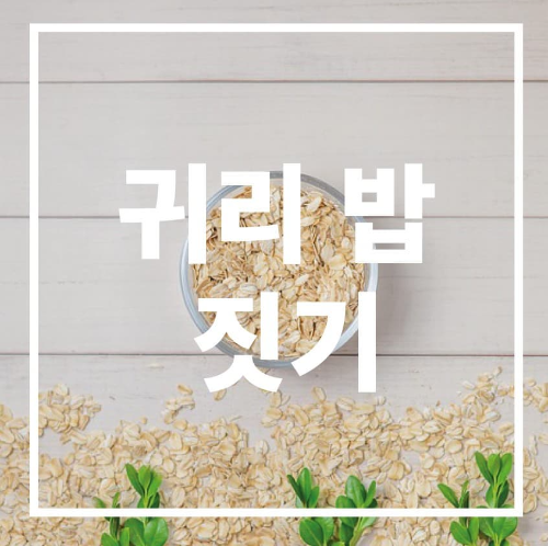 귀리 밥짓기