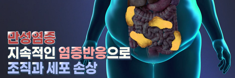 베르가못 효능