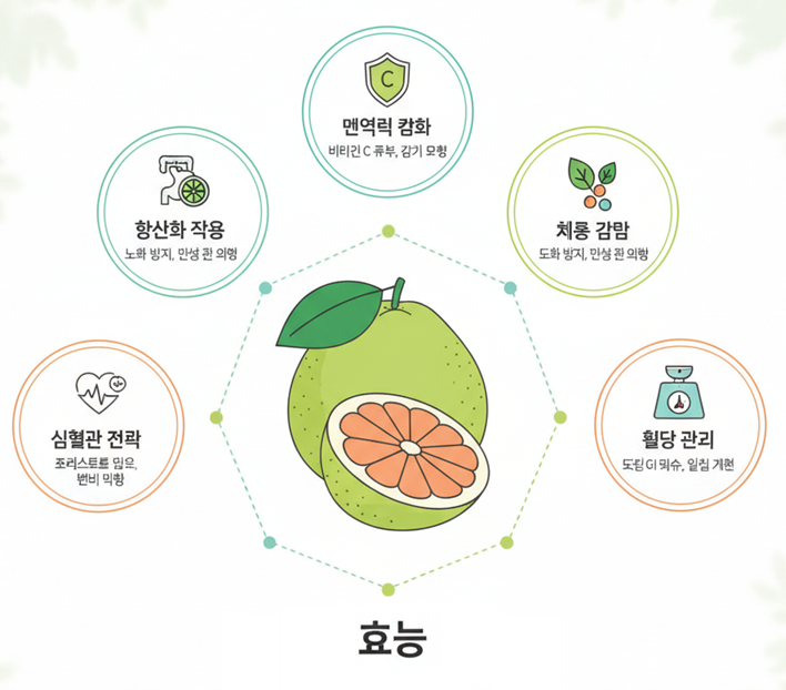 포멜로 (자몽) 효능
