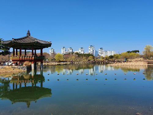 대전 아이랑 갈만한곳 한밭 수목원 나들이 장소 추천