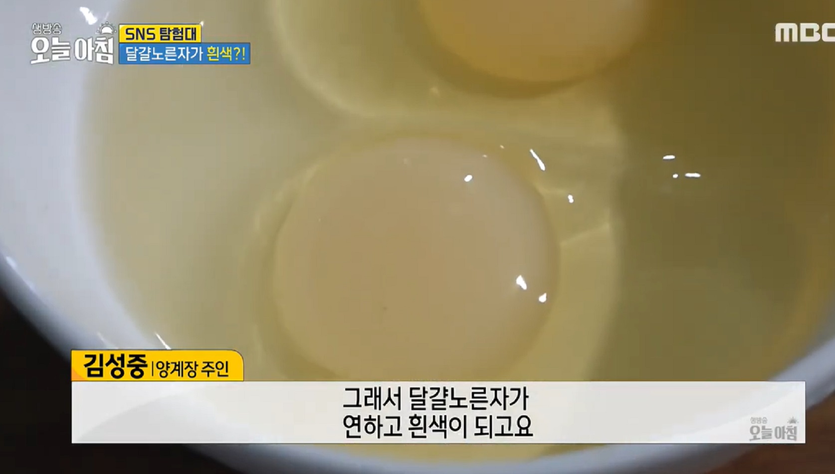 6시내고향-연천-계란