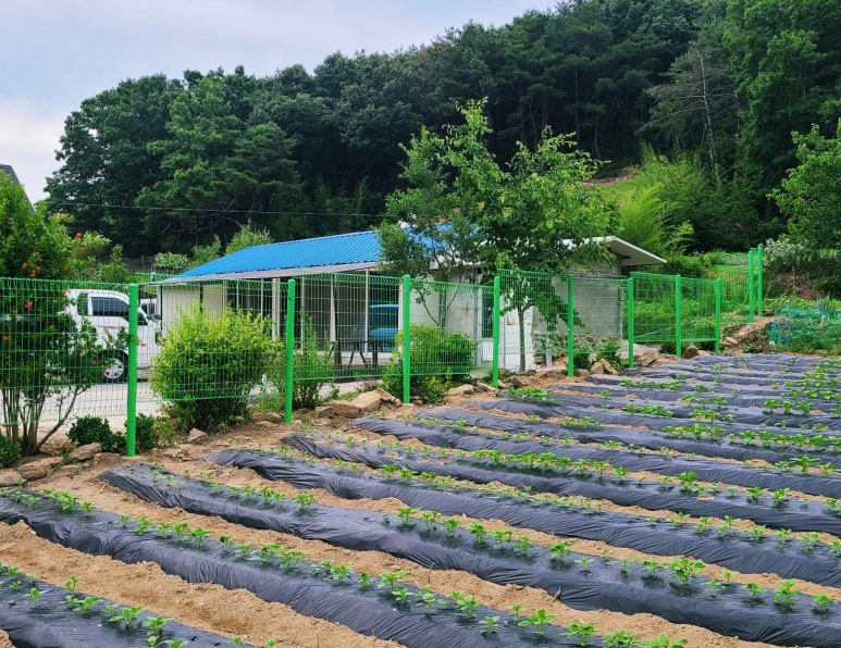 전원주택 울타리 구미, 김천, 왜관, 칠곡 휀스시공