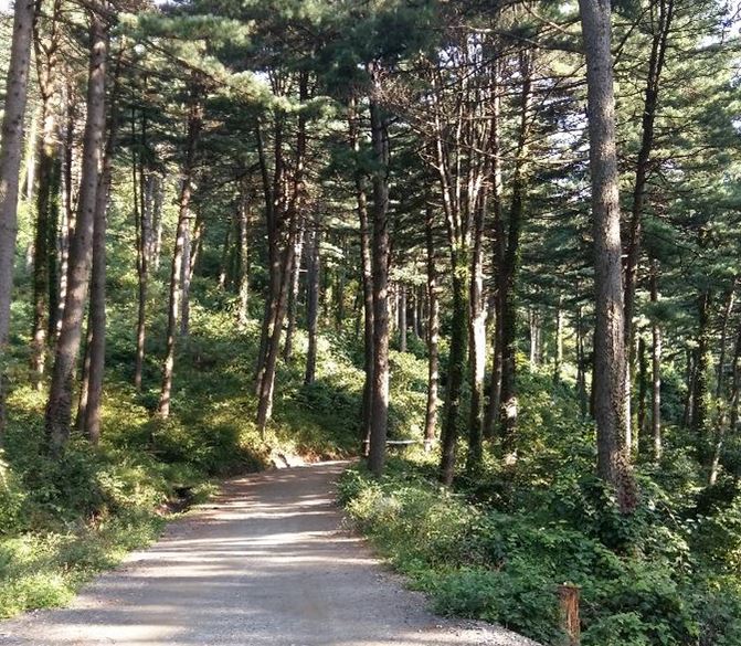 백련사3
