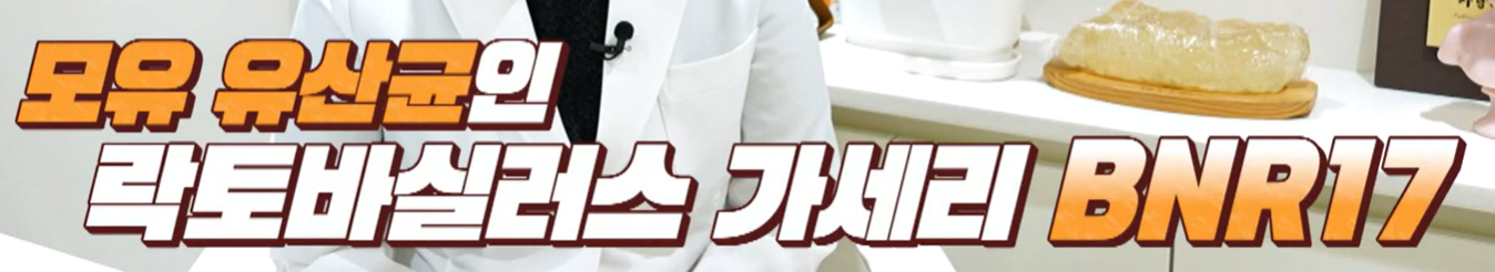 bnr17 유산균