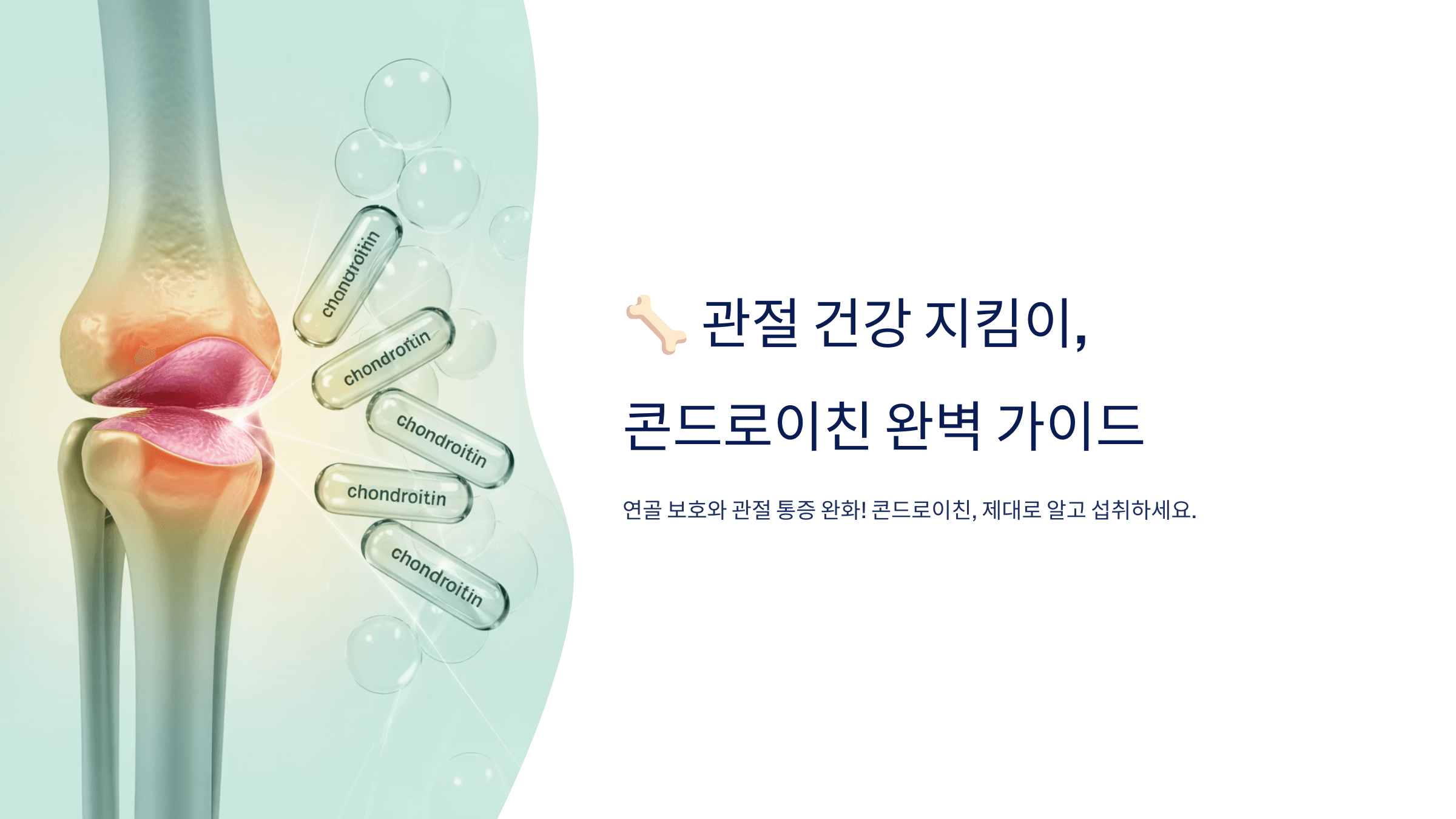 콘드로이친과 관련된 사진입니다.