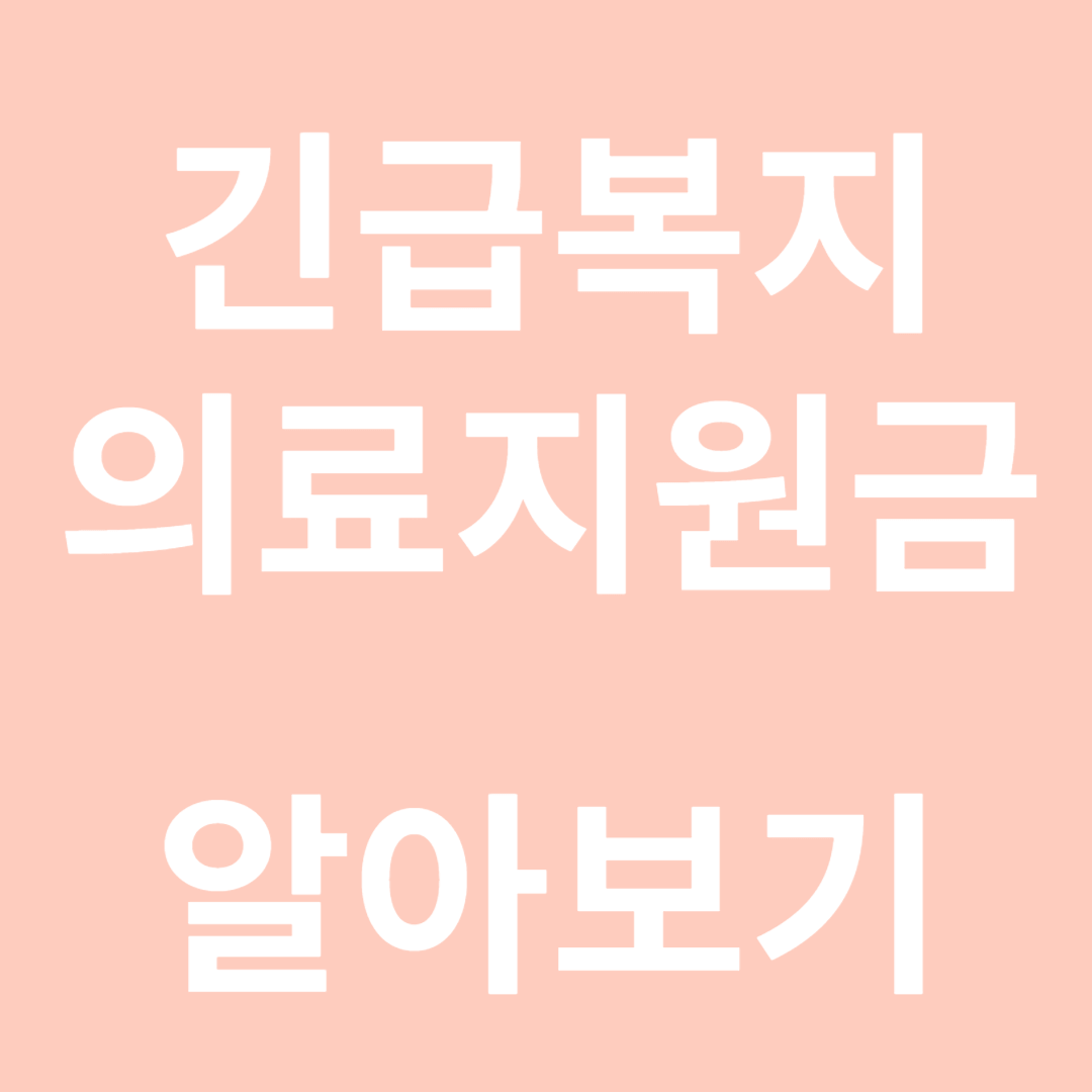 긴급 의료지원금 알아보기