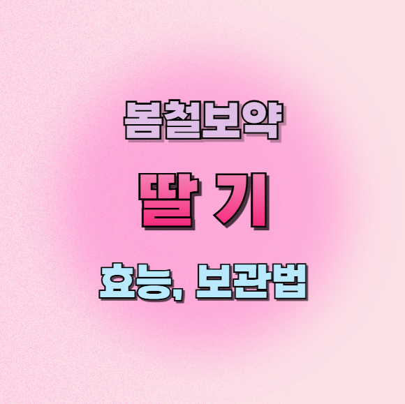 딸기효능