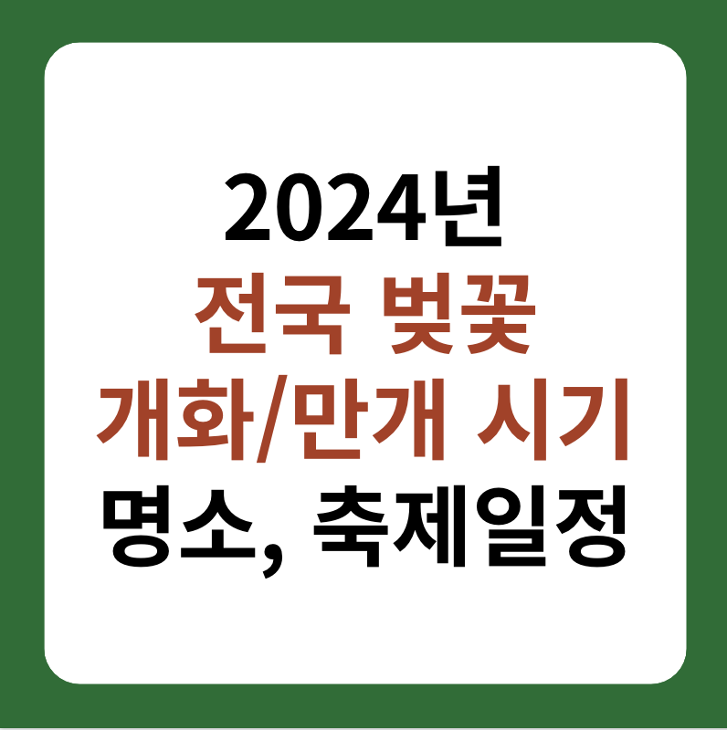 2024년 전국 벚꽃 개화 시기, 만개 시기, 명소, 축제 대표 이미지