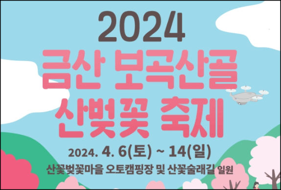 금산 보곡산골 산벚꽃축제