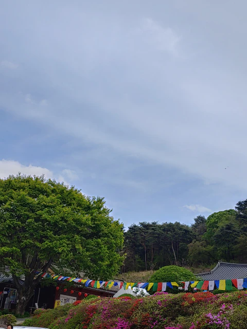 왕산사를-거쳐-왕방산-정상에-오르다