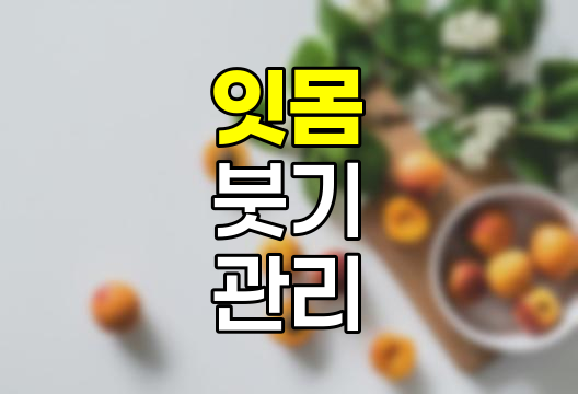 잇몸 부었을때 집에서 효과적인 관리 방법