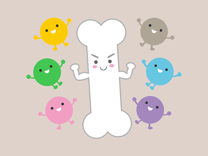 마그네슘