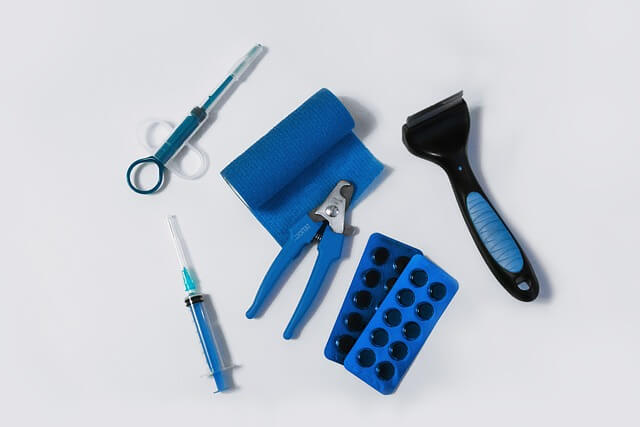 대전시 반려동물 진료비 지원사업 5월 선착순