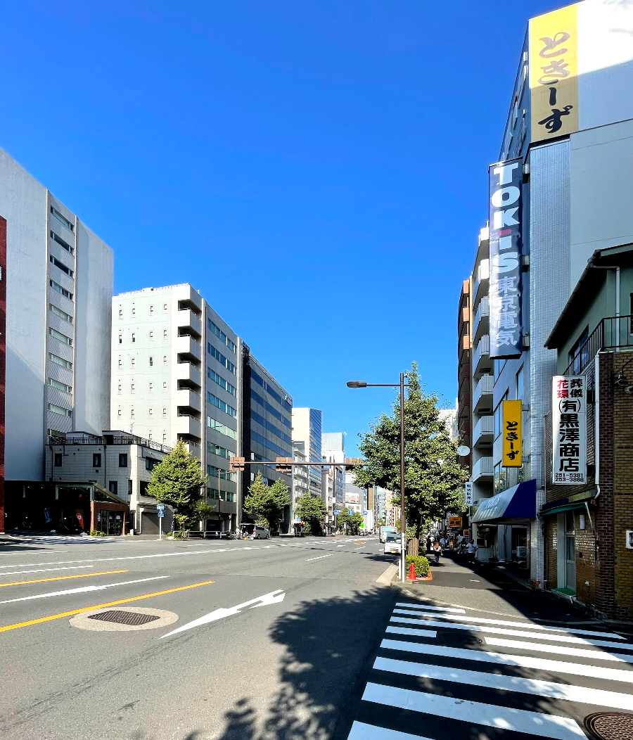 아키하바라 칼리가리 맛집 여행