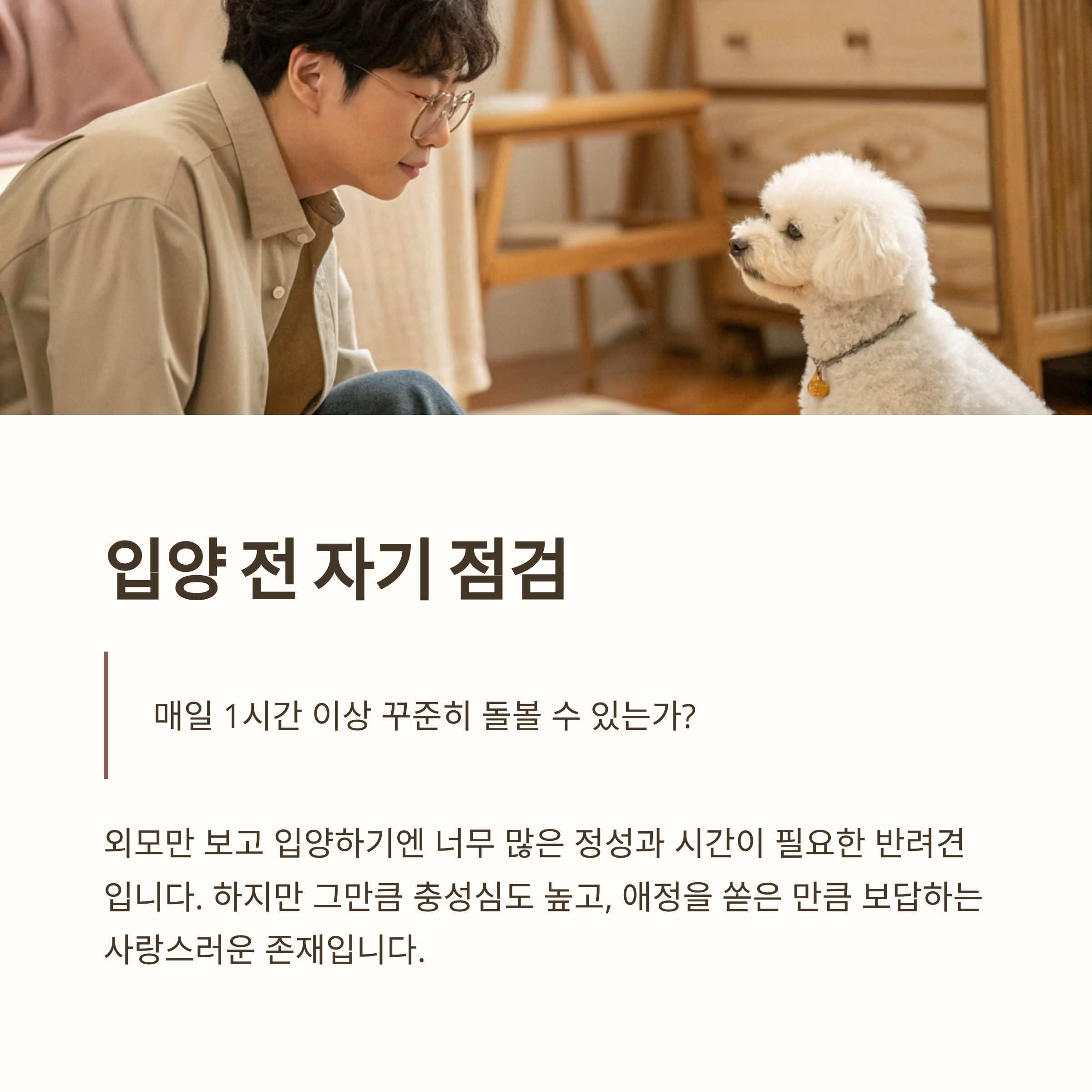 입양 전 자기 점검