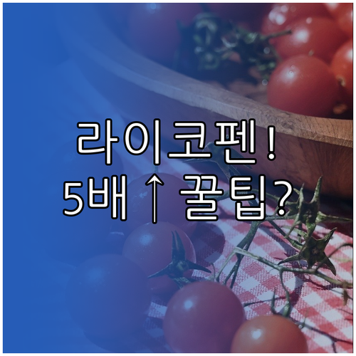 방울토마토 라이코펜 흡수율 5배 높이..