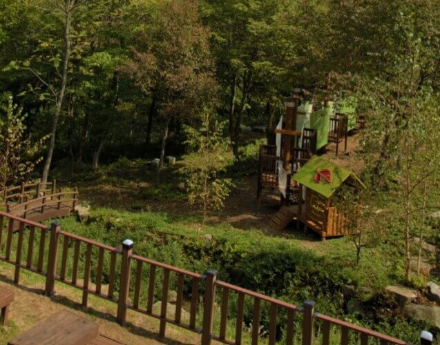 숲나들e 강씨봉 자연휴양림 국내 여행지 추천 관련 사진