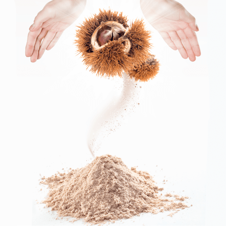 발표율피-추출분말-담긴-그릇