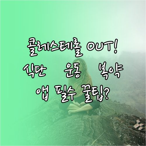 스마트폰 앱으로 콜레스테롤 낮추는 식..