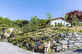 충주 가볼만한곳 - 충주커피박물관