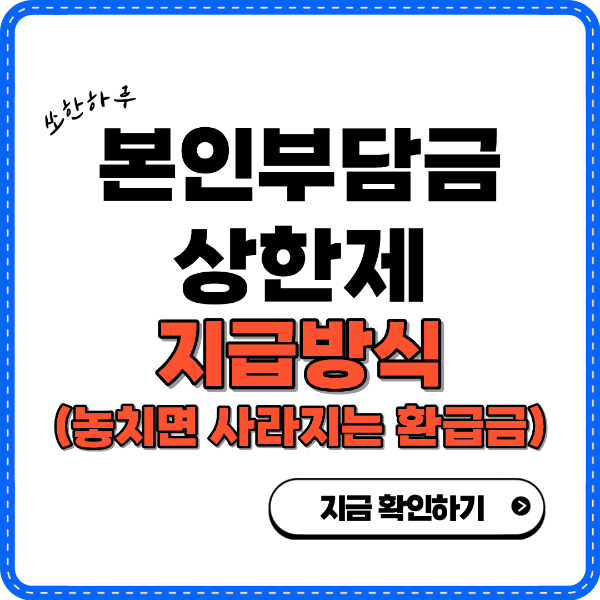 본인부담금 상한제 지급방식 썸네일