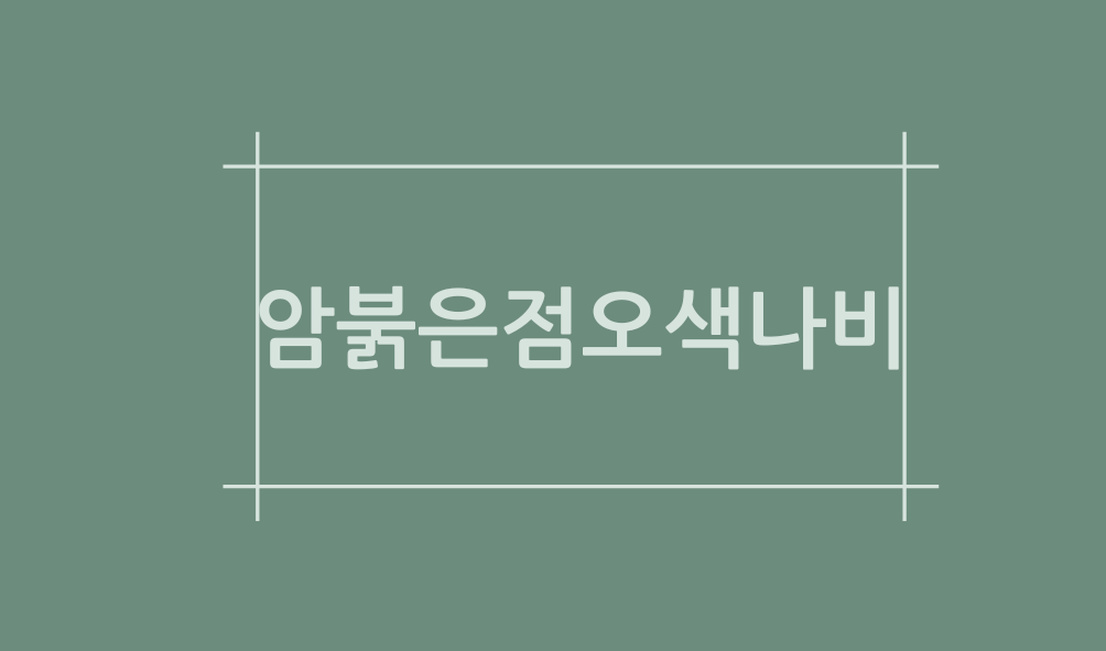 암붉은점오색나비