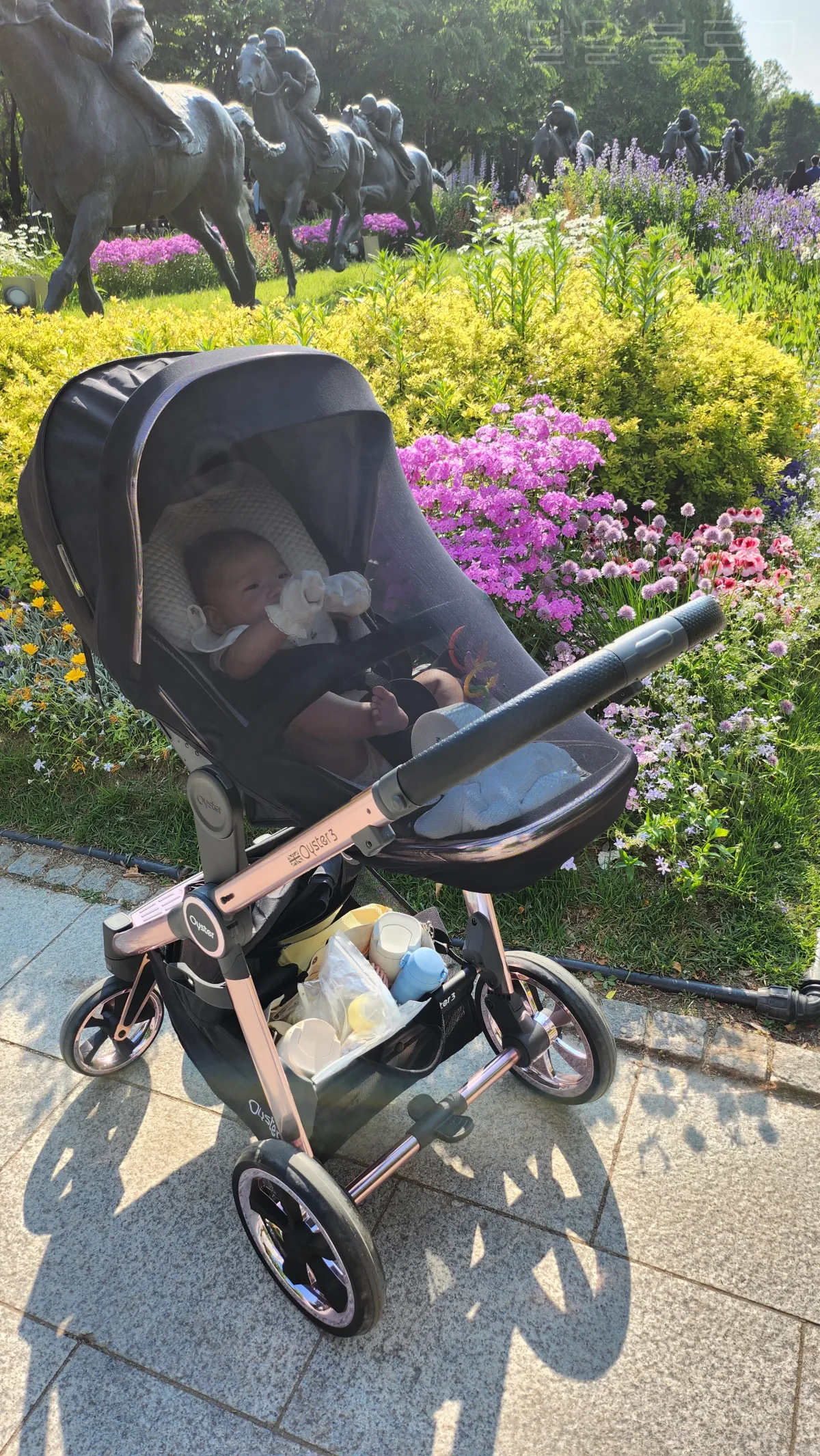 5개월-아기-놀이-공원-산책하기