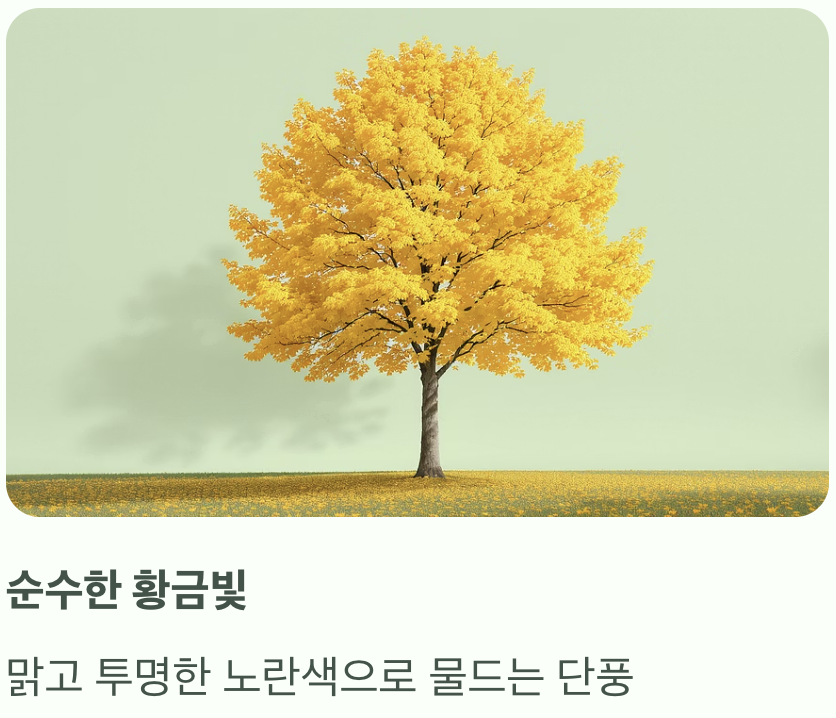 가을, 순수한 황금빛으로 물들다