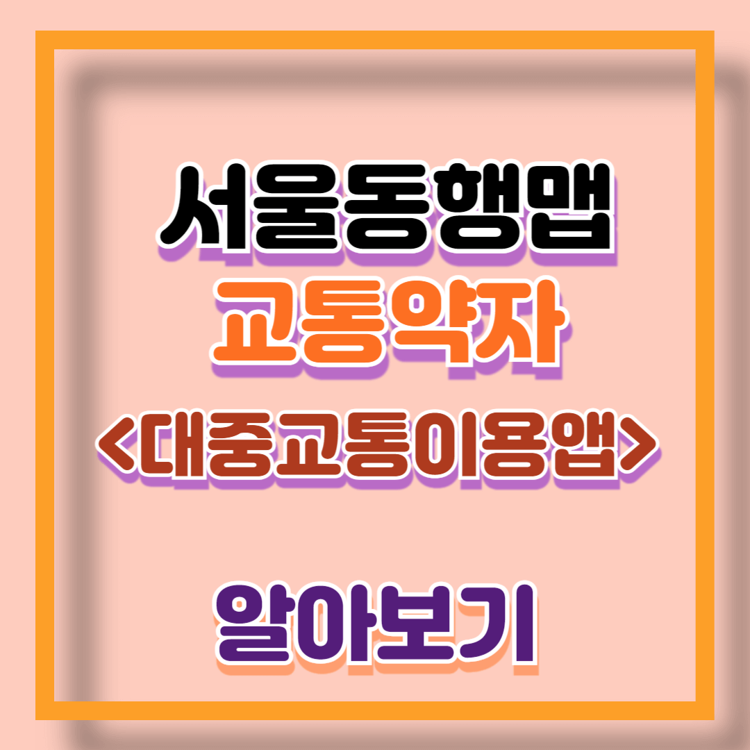서울 동행맵 다운로드