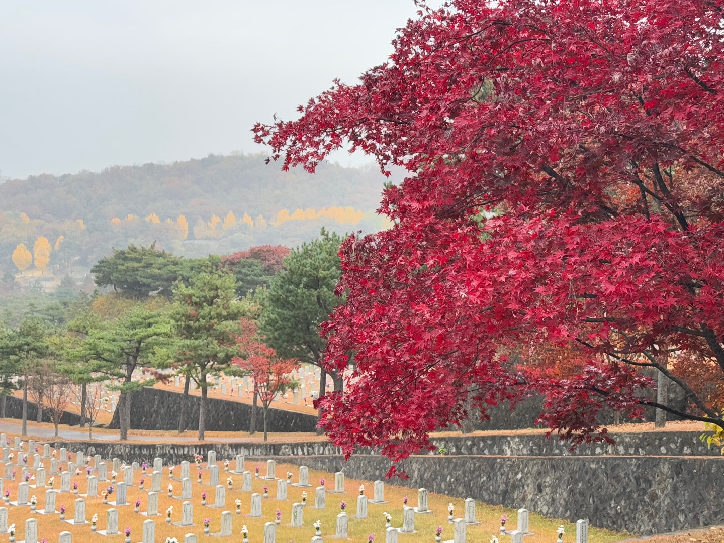 국립현충원