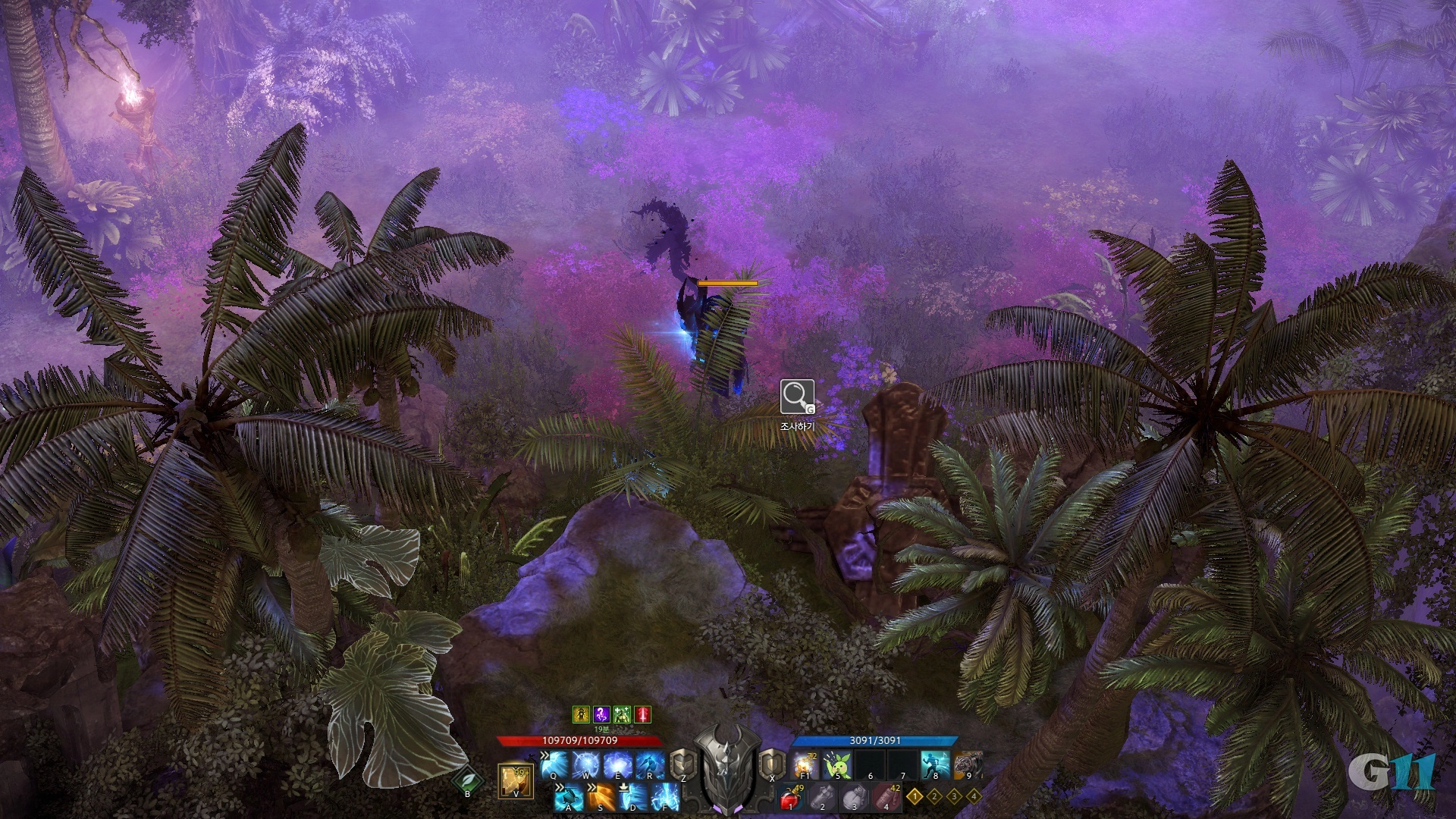 파푸니카의 기원