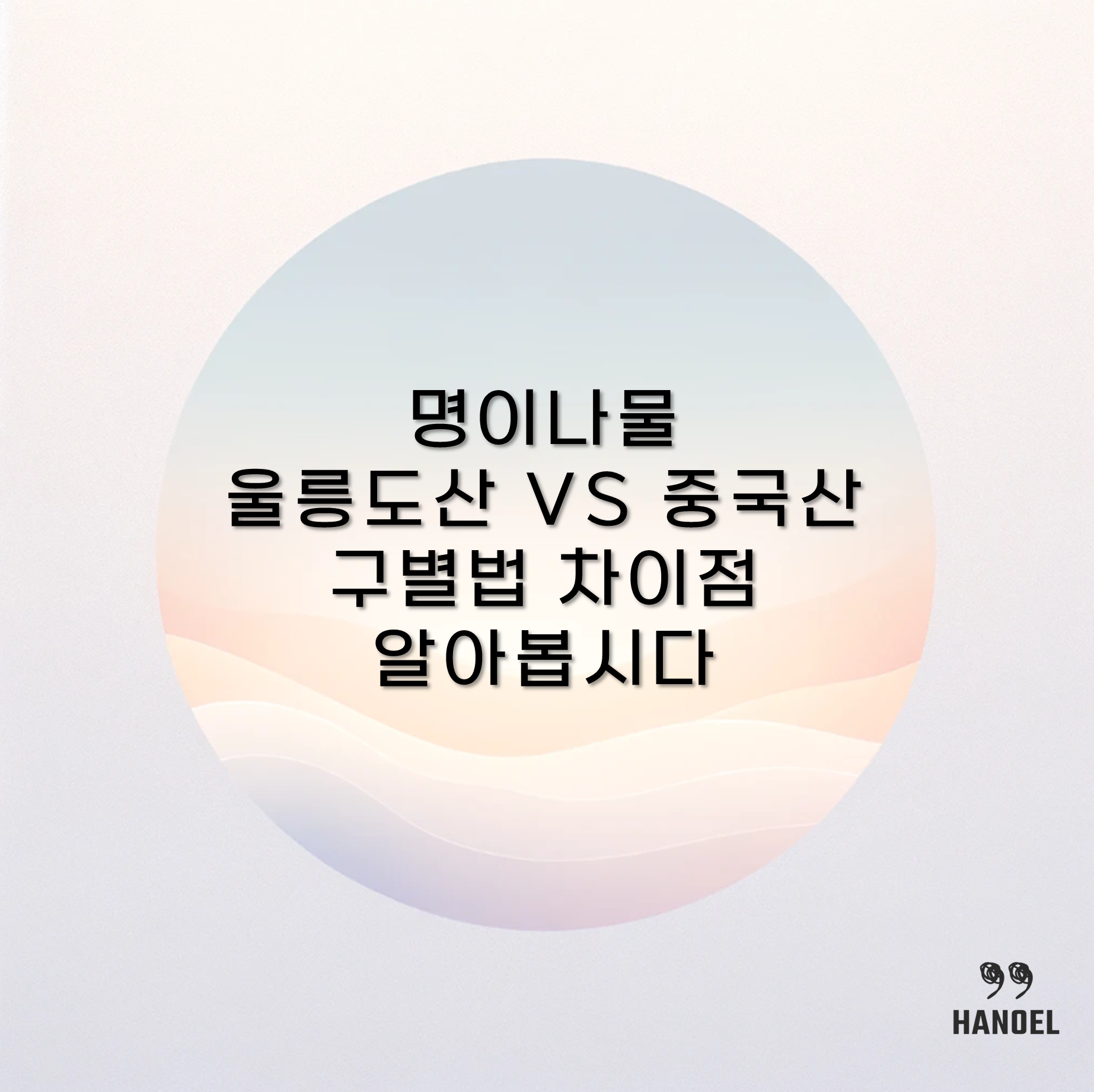 명이나물 울릉도산 VS 중국산 구별법 차이점 알아봅시다