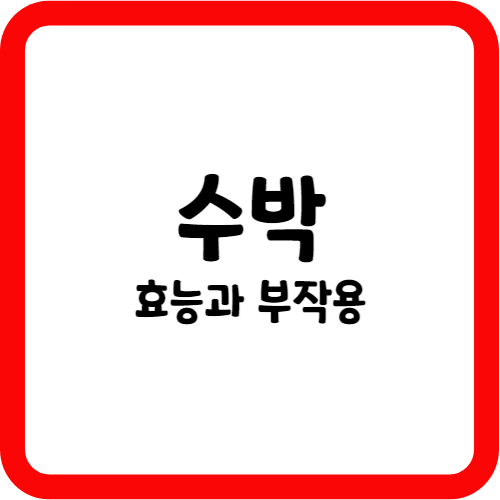 수박의 효능과 부작용