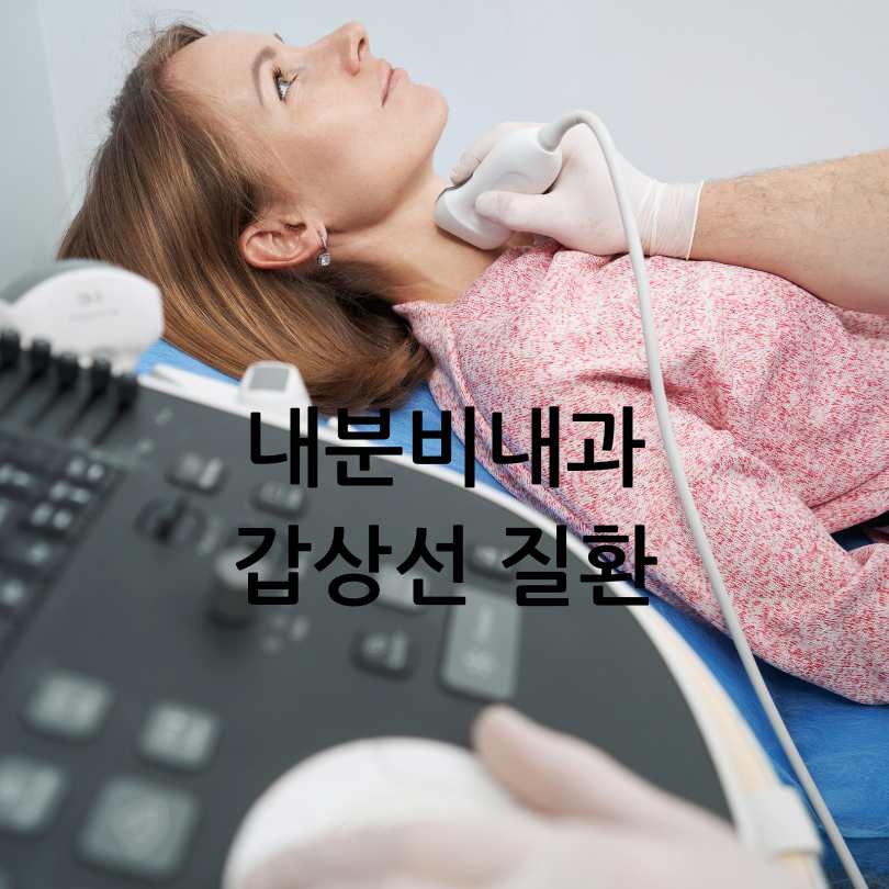 내분비내과 진료과목