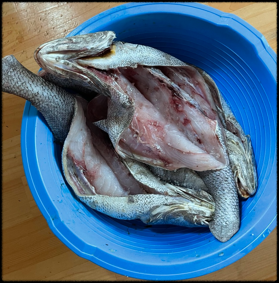 민어 여름철 보양식 맛보셔요