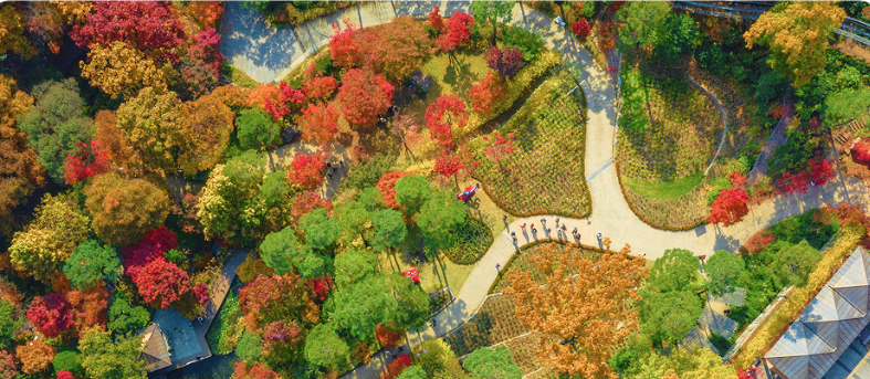 2025 단풍명소 화담숲 홈페이지 제공