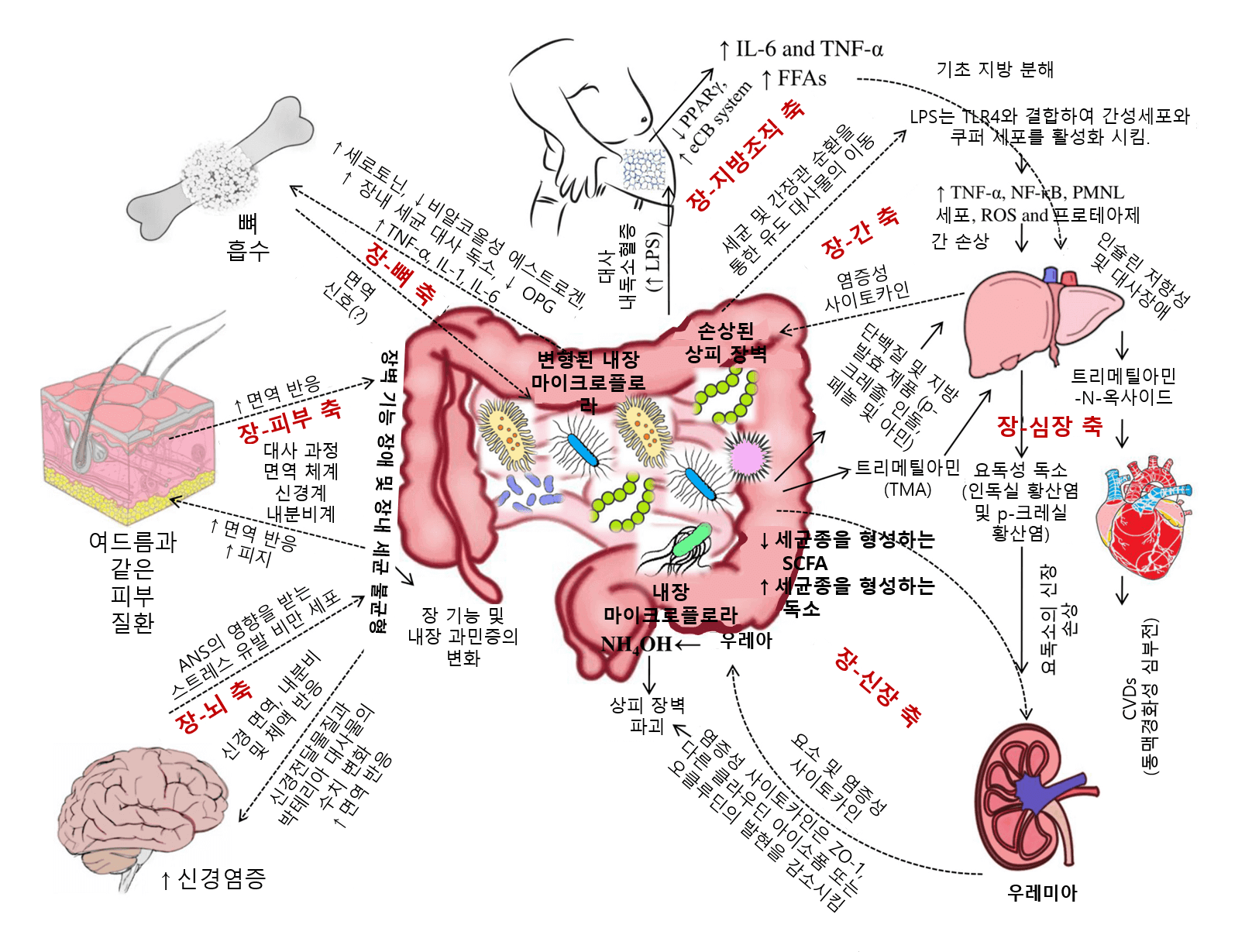 마이크로바이옴