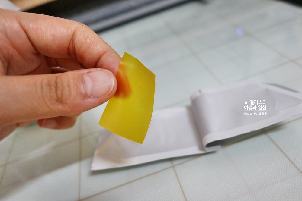 여에스더 글루타치온 필름, 가격, 복용법, 효능, 백옥주사 모두 정리 (나에겐 여행 필수품)