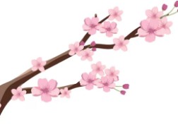 오사카-벚꽃-개화시기-3